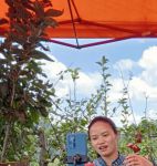 乡村户外直播间