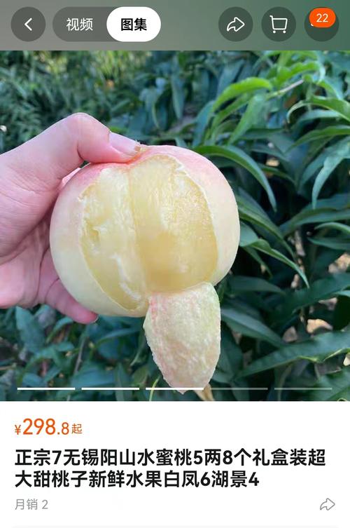 水蜜桃在线高清免费视频