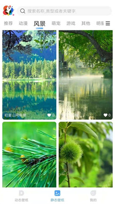 小鸟壁纸2024最新版