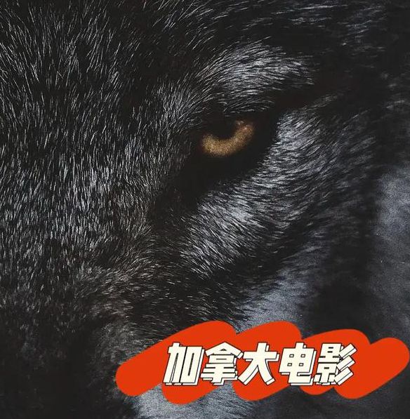 狼群影院中文字幕