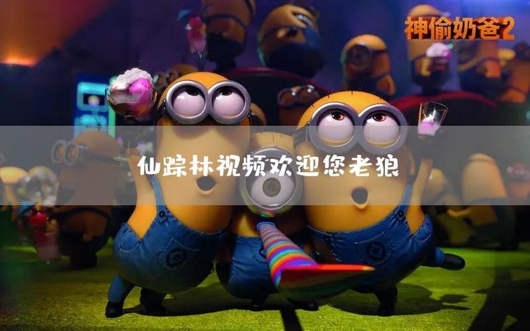 仙踪林视频入口欢迎您老狼