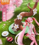 可空降樱花直播