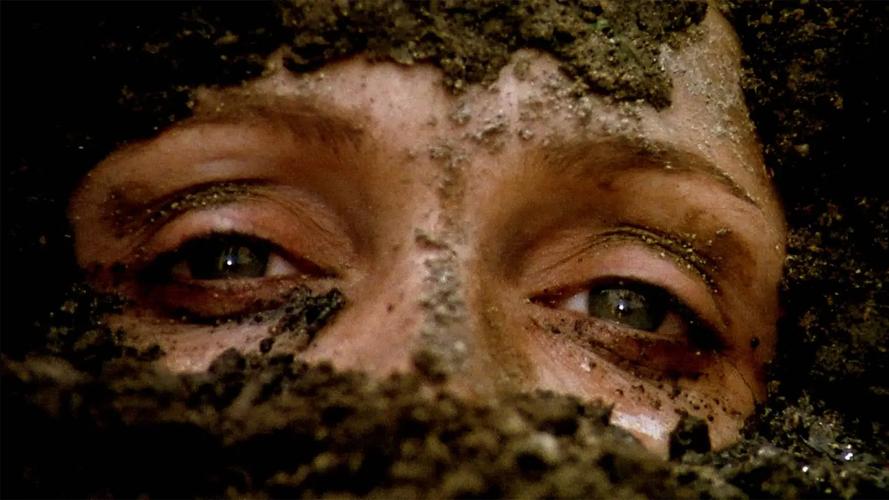 感官王国电影完整版