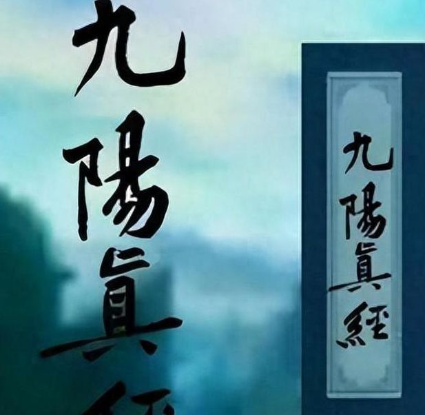 九阳真经视频在线入口