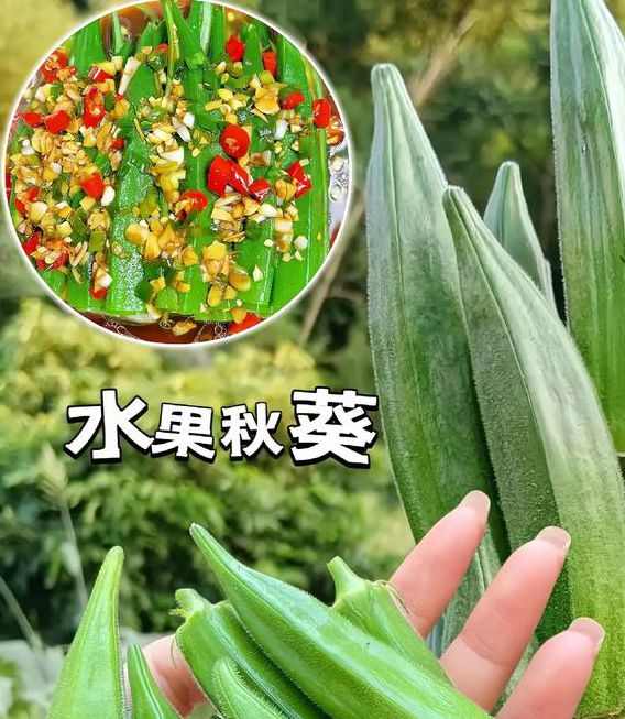 芭乐汅api免费秋葵视频