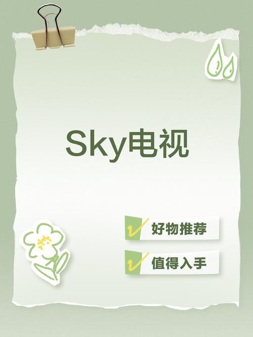 sky直播(可约可空降)