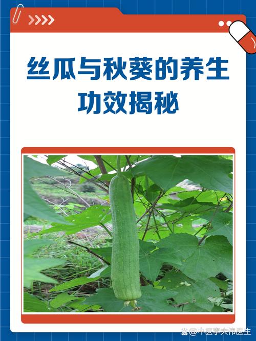 秋葵 茄子 丝瓜 绿巨人污