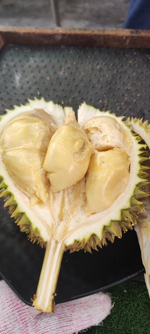 榴莲微视18无限制版