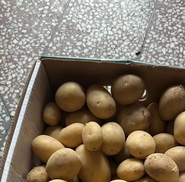 土豆直播在线入口