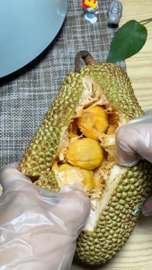 榴莲视频免费观看视频大全