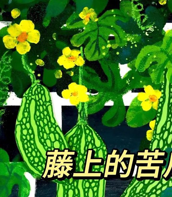 苦瓜视频