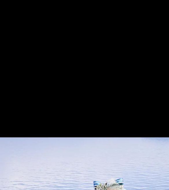 暖暖直播免费观看日本更新