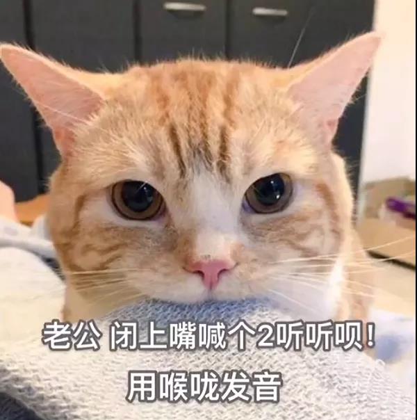 肾虚就肾虚有什么不敢承认的表情包