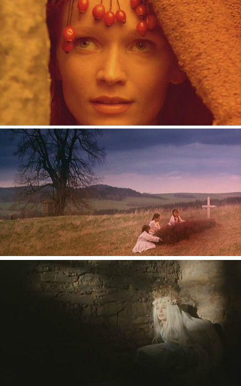 野花在线观看免费视频