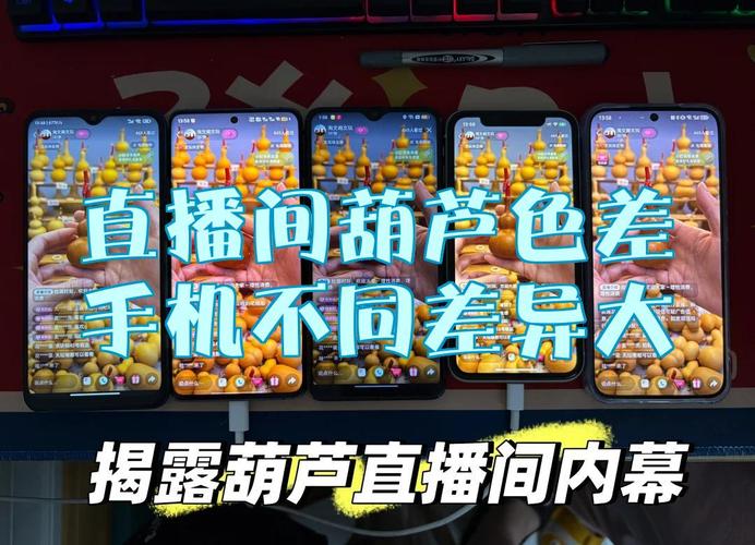 葫芦直播最新版