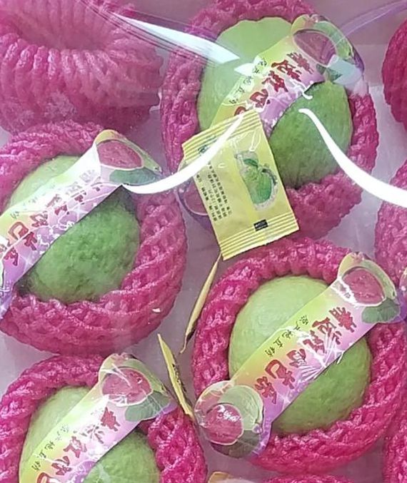 草莓丝瓜芭乐樱桃榴莲