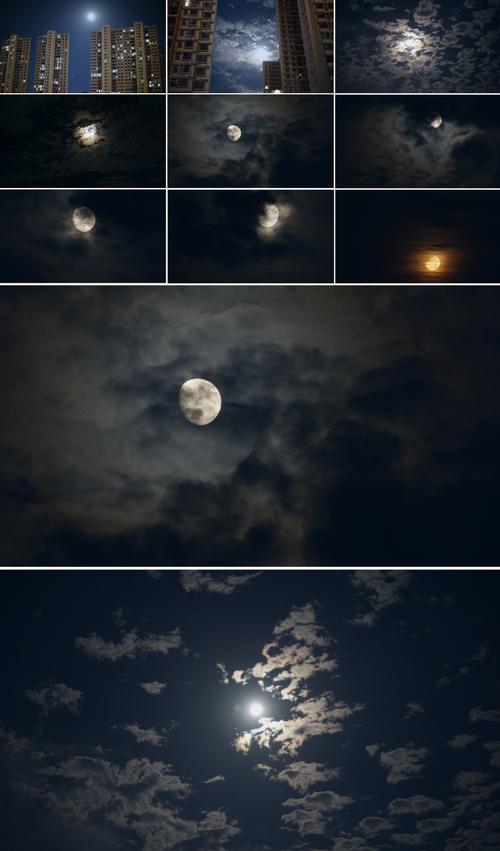 月光视频正版高清