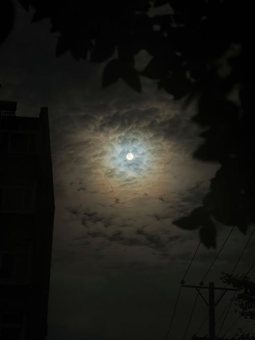 凌晨高清精品视频