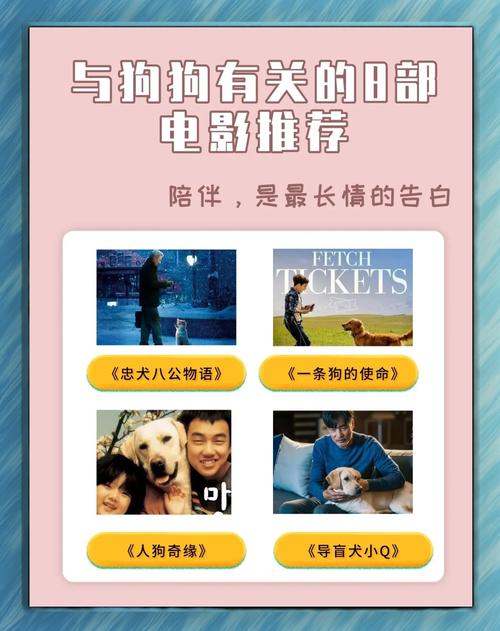 二狗电影完整版