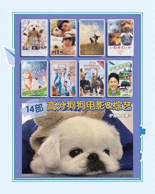 二狗电影完整版