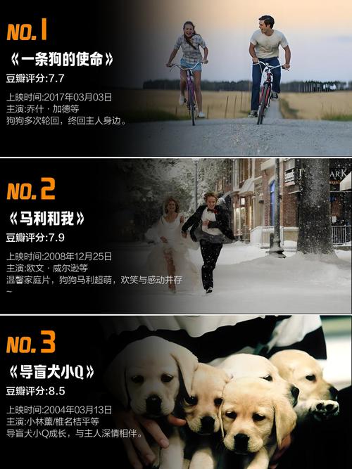 二狗电影完整版