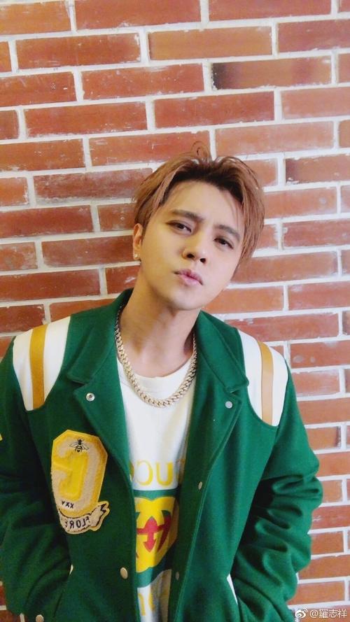 鸭脖娱乐app罗志祥