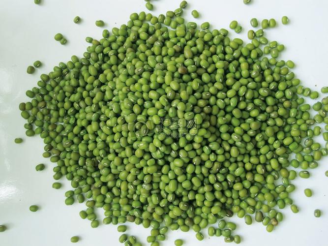 51大豆行情网仙踪林www