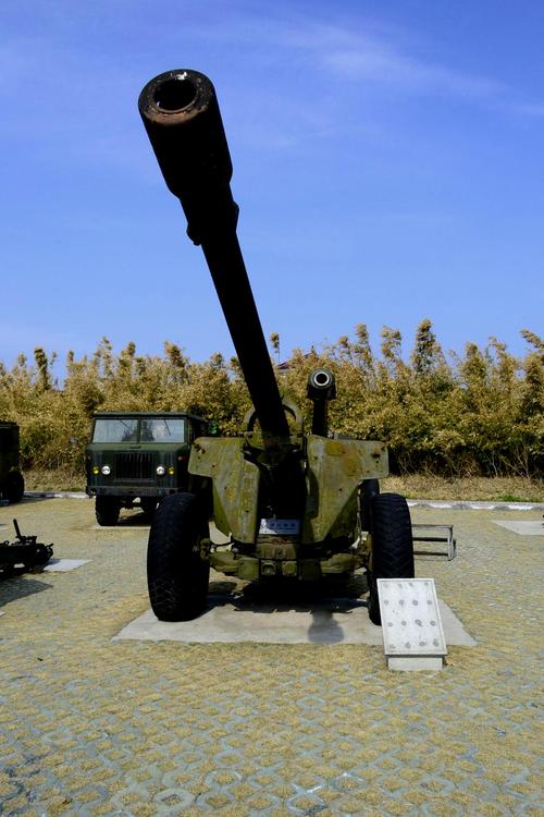 大炮社区高清A免费观看