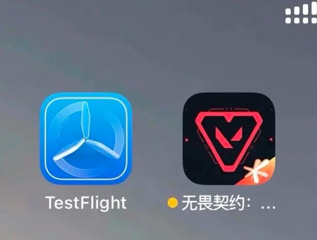 91抖音成长人版安装testflightios轻量版解锁版下载