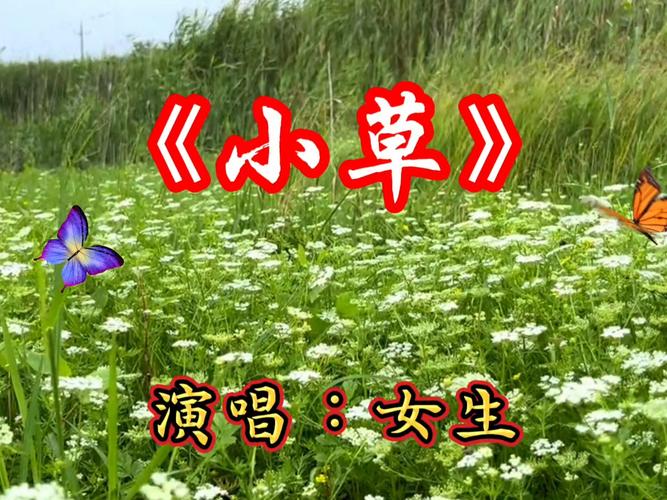 小草在线资源视频免费观看