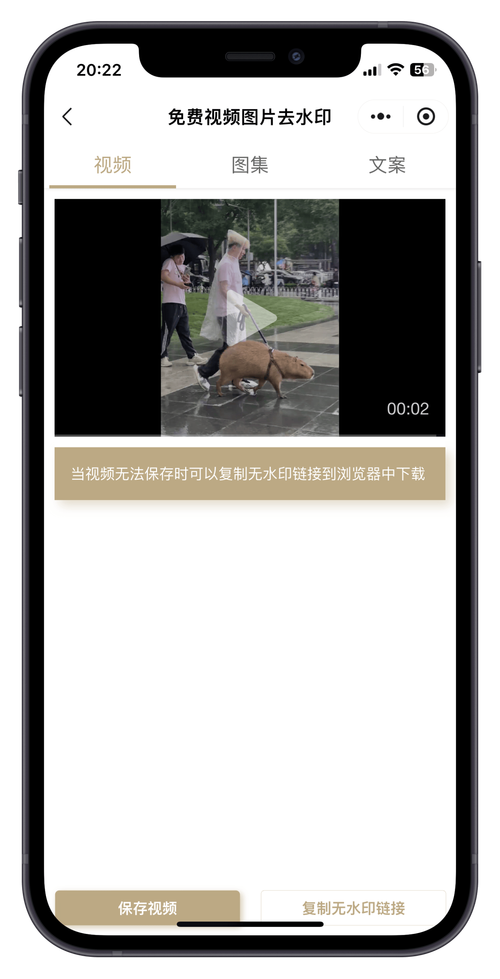 两个人免费视频