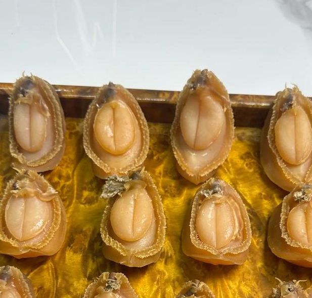 鲍鱼视频直播免费版在线观看