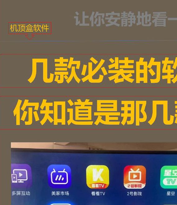 2021大秀盒子免费下载