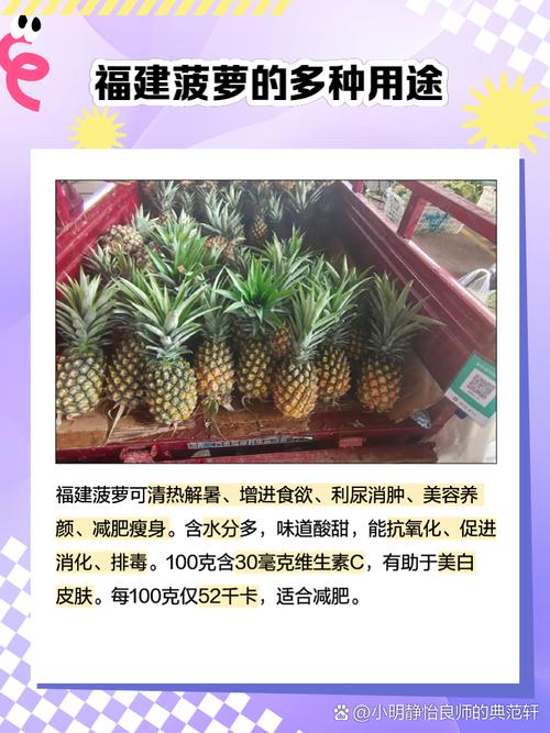 福建大菠萝官方网站