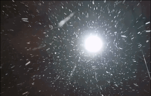 飘雪在线观看免费视频