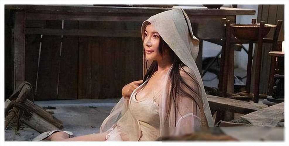 新金瓶龚玥菲完整版