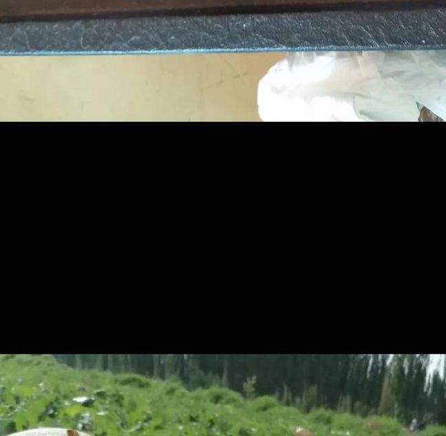 哈密瓜app官网下载一触即发