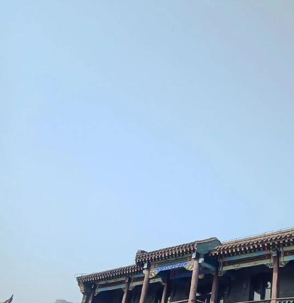 小青楼网址在线看视频