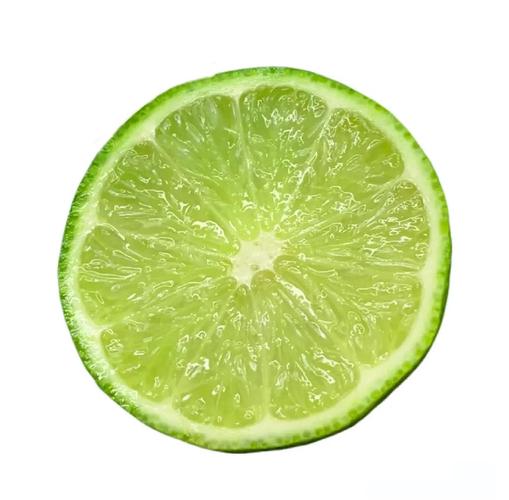 青柠视频1.0.4安卓版