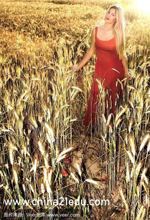 丝瓜草莓香蕉绿巨人幸福宝