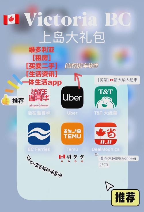 手机看岛国用什么软件