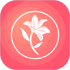 高清乱码忘忧草