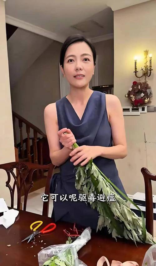 艾草精品免费视频