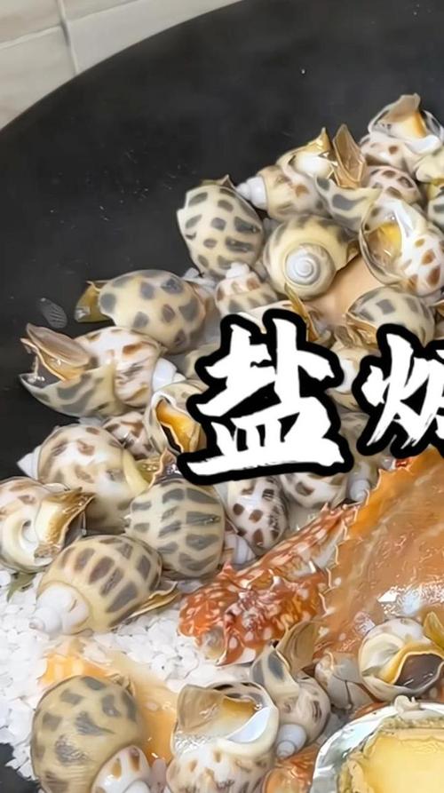 小花螺直播高清版