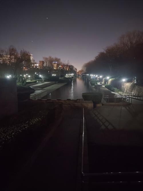 美好的夜晚www高清
