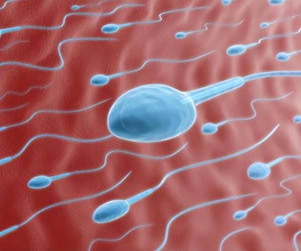 精子在线观看视频国产