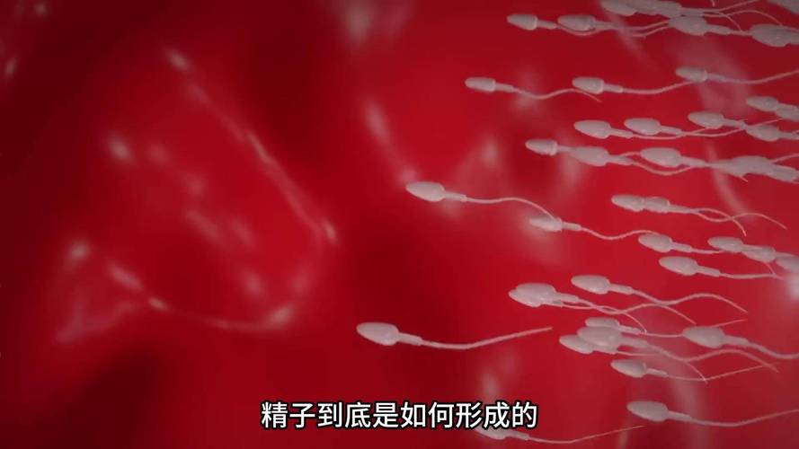 精子在线观看视频国产