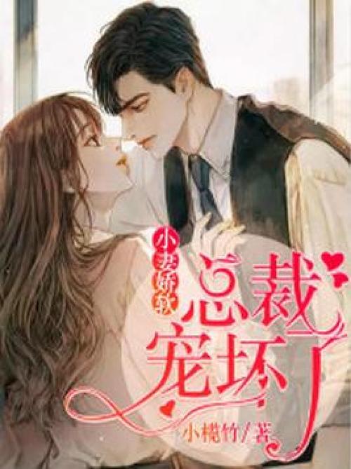 宠妻总裁坏透了完整版