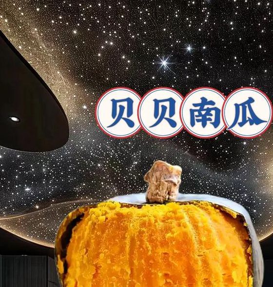 南瓜视频官网下载地址南瓜视频app