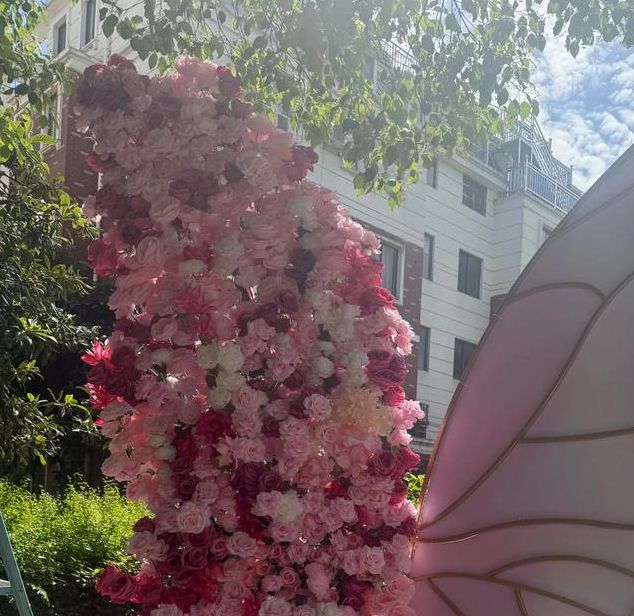 花蝴蝶蝶恋花直播下载